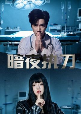 暗夜执刀——中国好声音第四季冠军